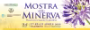 mostra Minerva